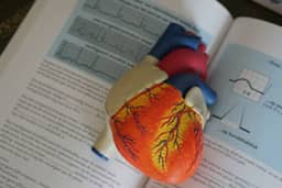 Question 1 photo: Cardiology