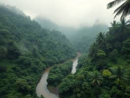 Question 13 photo: South American Rivers