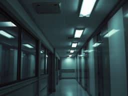 Question 21 photo: Thrillers