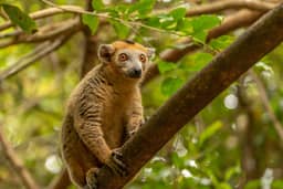 Question 21 photo: Biodiversity