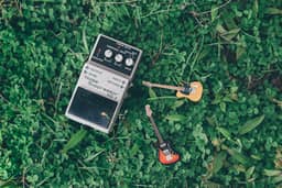 Question 35 photo: Psychedelic Rock